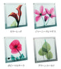 X-RAY Glass Art ガラスアート Mサイズ.|s8
